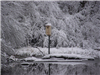 Snow Covered Birdhouse on a Lake