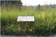 Mile Hill Lake Interpretive Panel