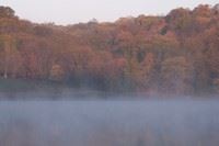 Pony Creek Lake Mist
