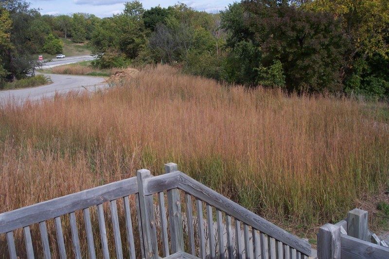 Mile Hill Lake Overlook Garden