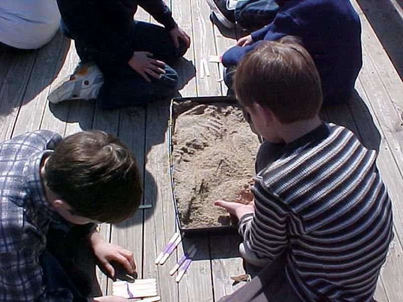Children Digging for Dinosaurs