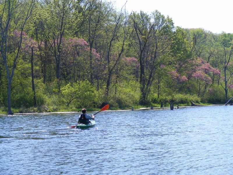 Kayaking at the Lake